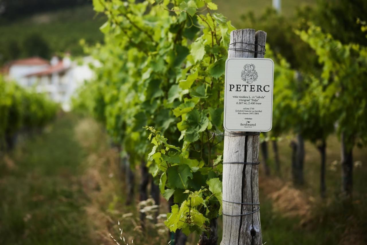 Bed and Breakfast Peterc Vineyard Estate Kojsko Exterior foto