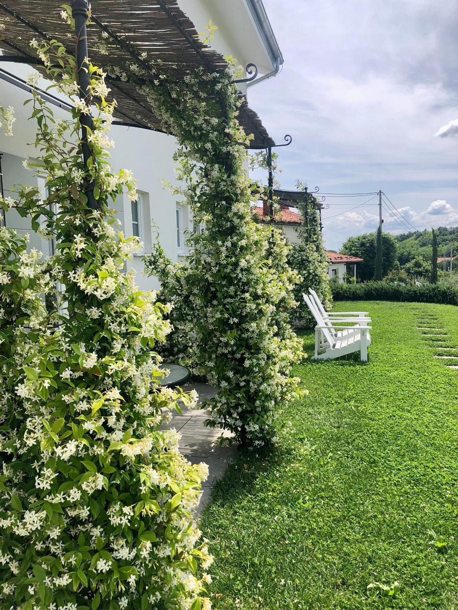 Bed and Breakfast Peterc Vineyard Estate Kojsko Exterior foto